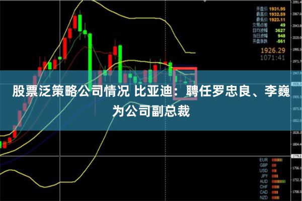 股票泛策略公司情况 比亚迪：聘任罗忠良、李巍为公司副总裁