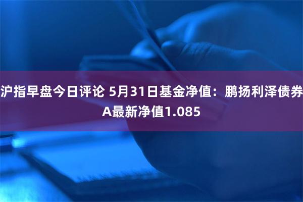 沪指早盘今日评论 5月31日基金净值：鹏扬利泽债券A最新净值1.085