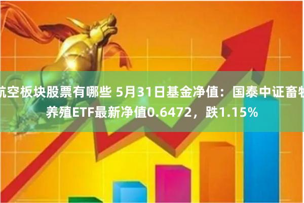 航空板块股票有哪些 5月31日基金净值：国泰中证畜牧养殖ETF最新净值0.6472，跌1.15%