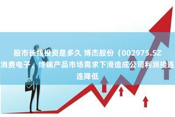 股市长线投资是多久 博杰股份（002975.SZ）：消费电子、终端产品市场需求下滑造成公司利润接连降低