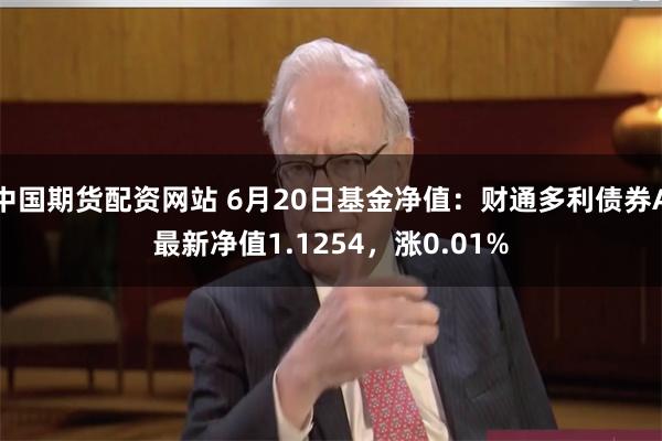 中国期货配资网站 6月20日基金净值：财通多利债券A最新净值1.1254，涨0.01%
