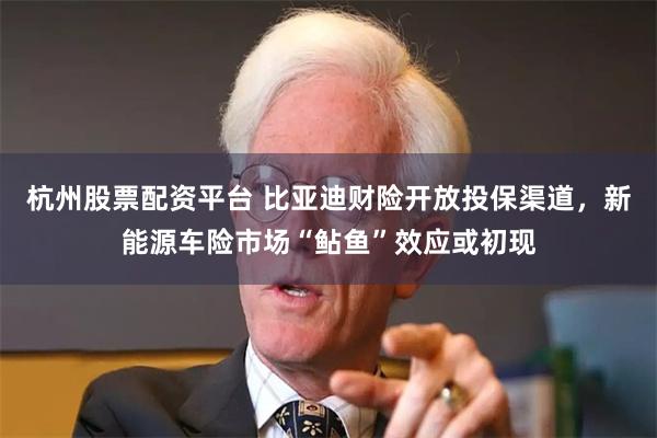 杭州股票配资平台 比亚迪财险开放投保渠道，新能源车险市场“鲇鱼”效应或初现