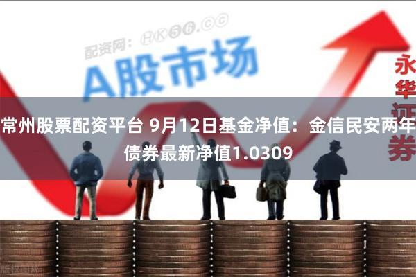 常州股票配资平台 9月12日基金净值：金信民安两年债券最新净值1.0309