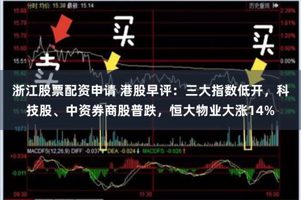 浙江股票配资申请 港股早评：三大指数低开，科技股、中资券商股