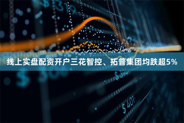 线上实盘配资开户三花智控、拓普集团均跌超5%